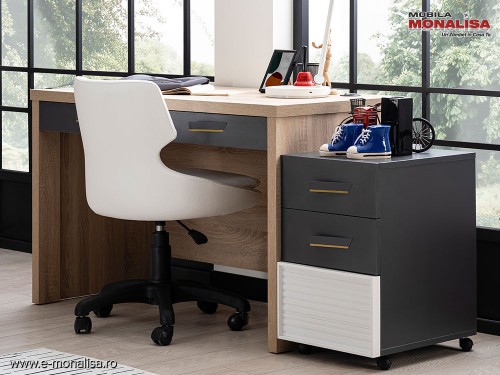 Birou Tineret New City - Masa de Studiu Copii Alb/Negru Moderna☑️