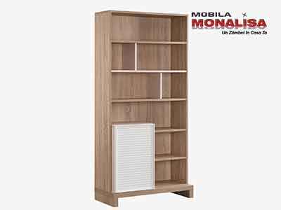 Biblioteca dormitor tineret