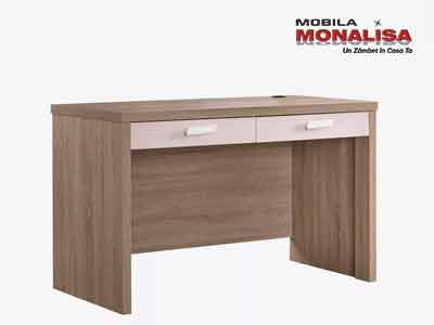 Birou camera tineret