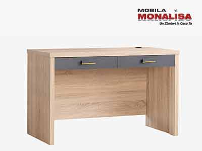 Birou camera tineret