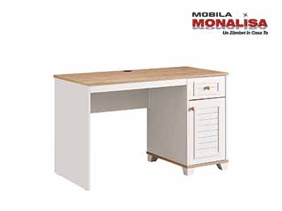 Birou camera tineret