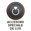 Accesorii de lux